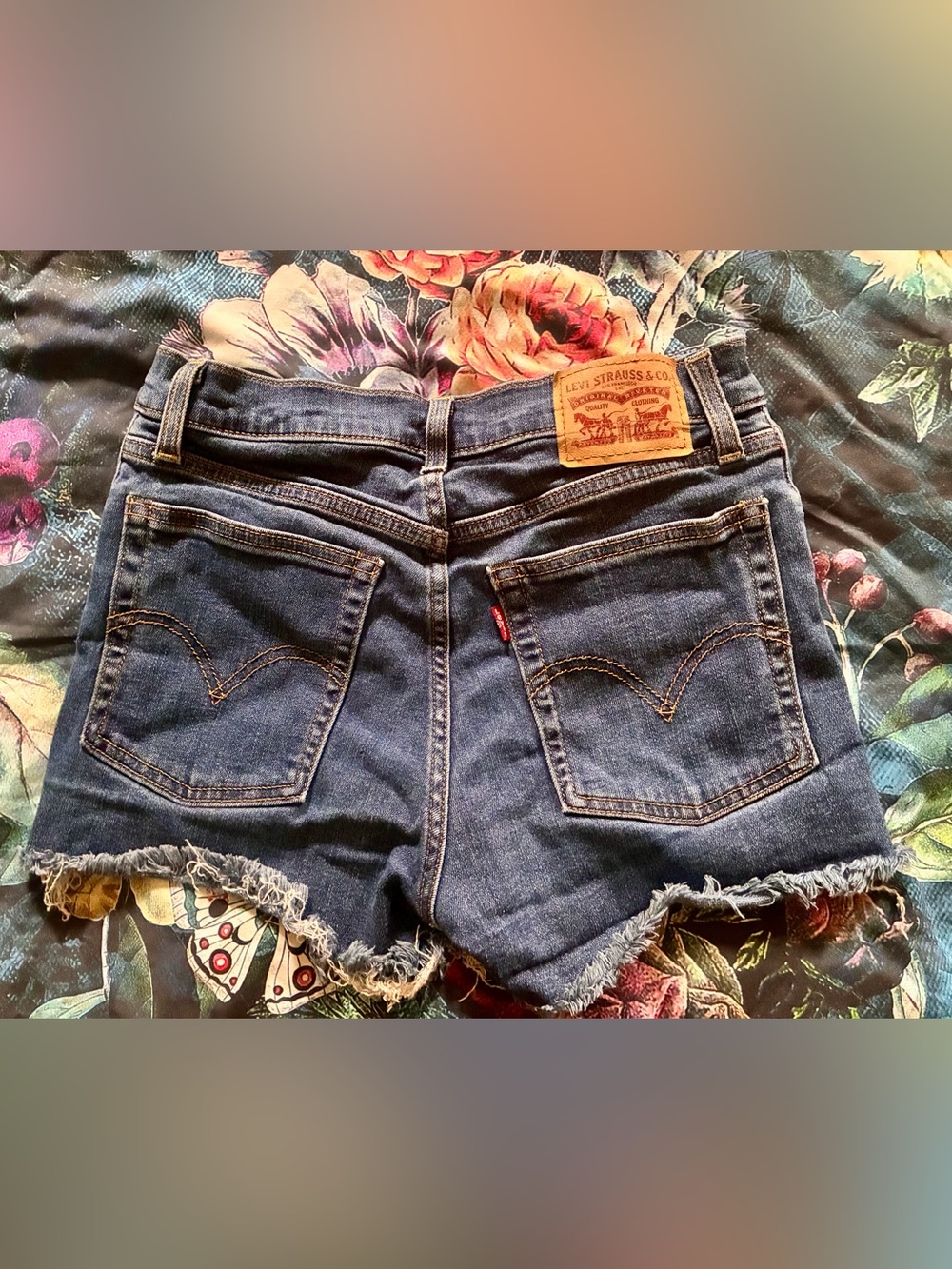 Levi Shorts